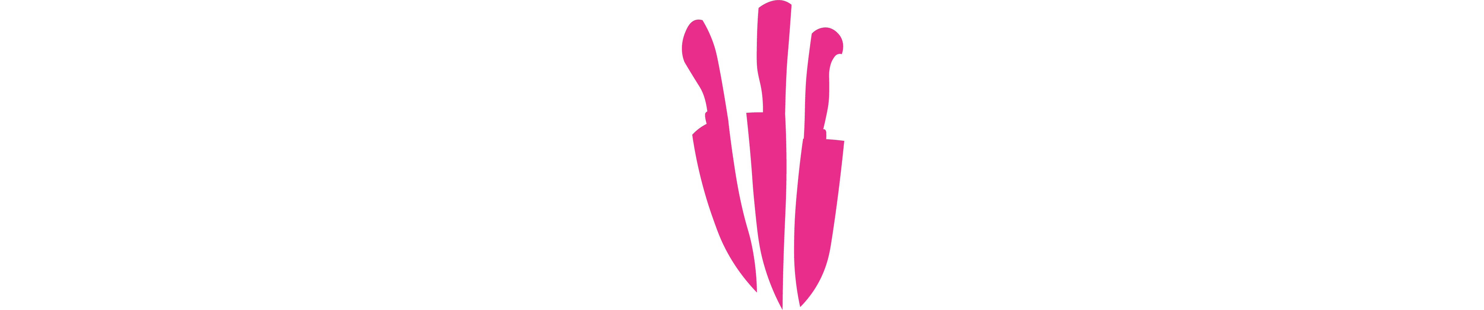 Logo Pack preview